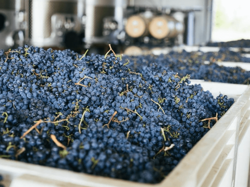 Napa Valley, California: Winery&nbsp;Guide