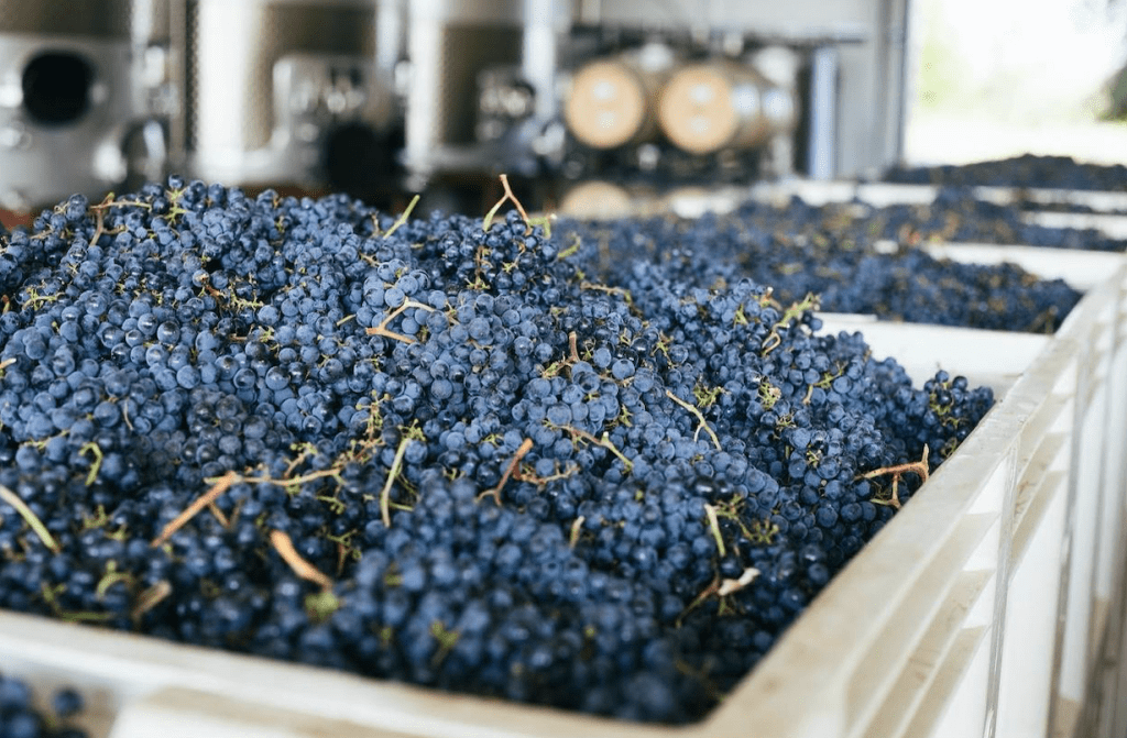 Napa Valley, California: Winery&nbsp;Guide