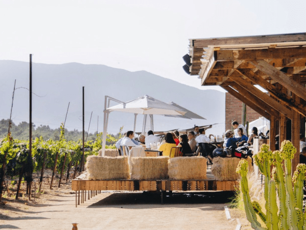 Valle de Guadalupe, Mexico: A Culinary and Wine&nbsp;Hotspot