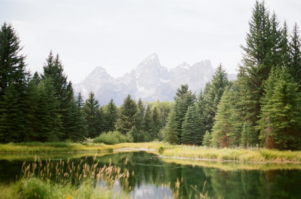 35mm: Pretty Places