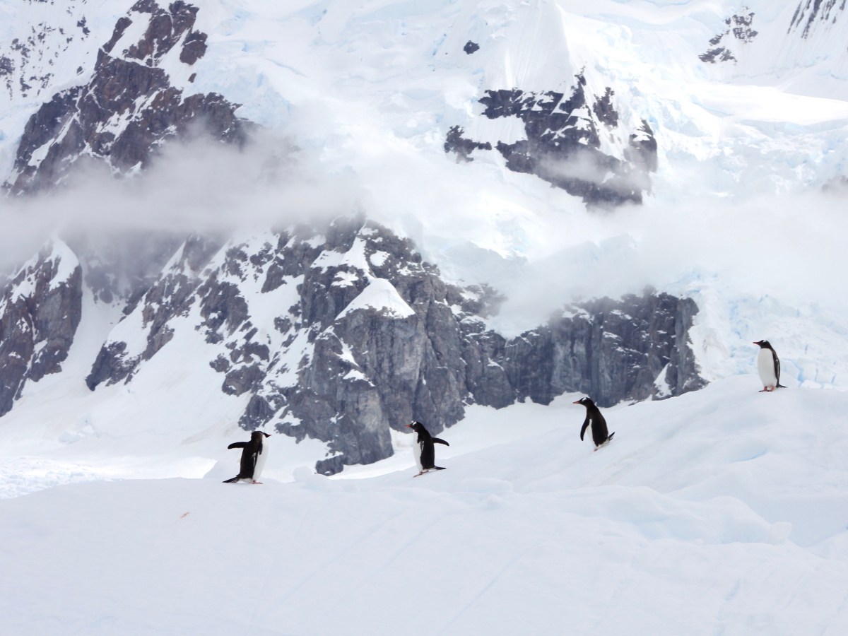 Antartica: The Adventure Of A&nbsp;Lifetime