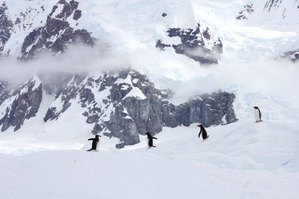 Antartica: The Adventure Of A&nbsp;Lifetime