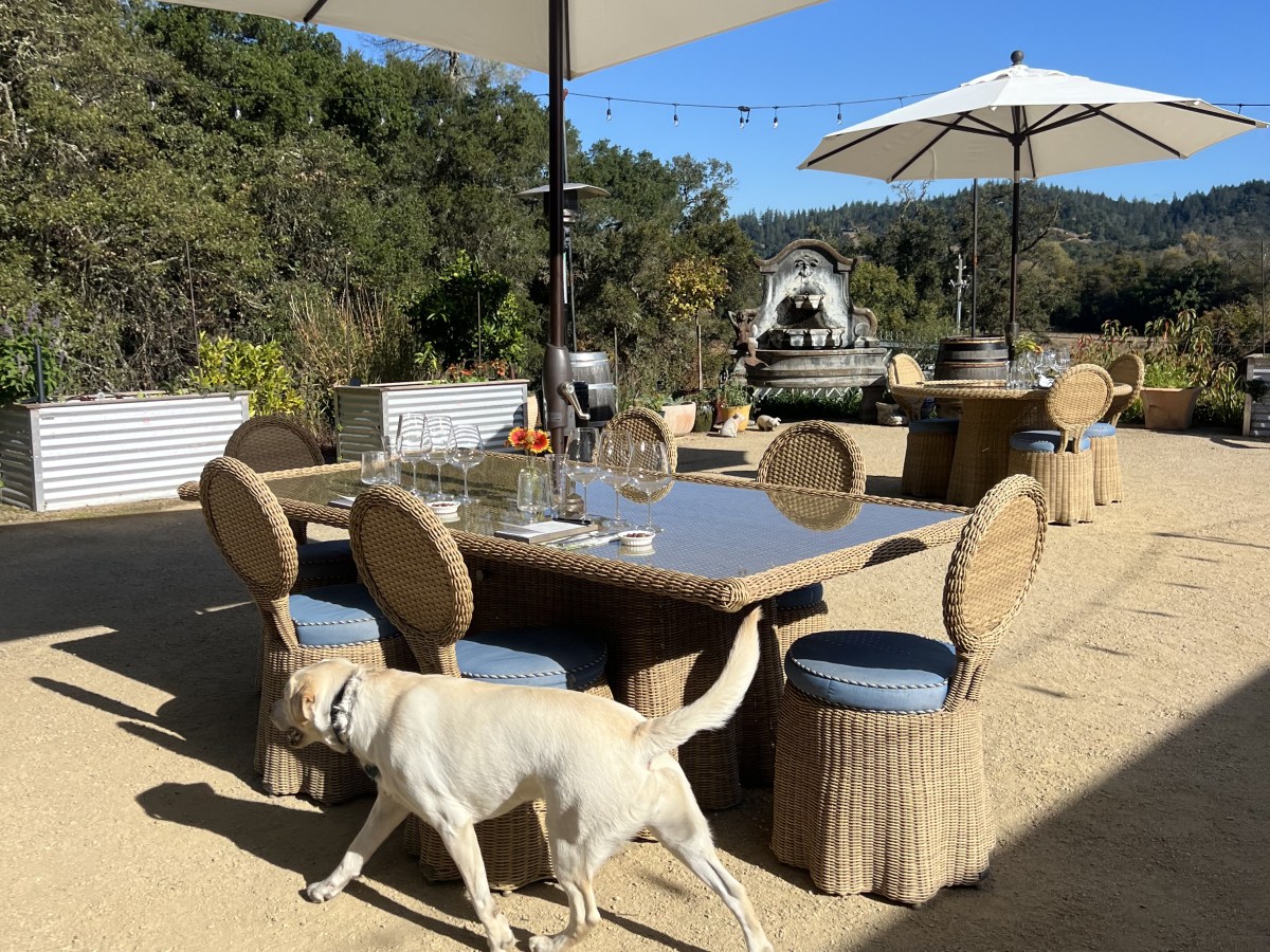 Capo Creek Winery: Healdsburg,&nbsp;California
