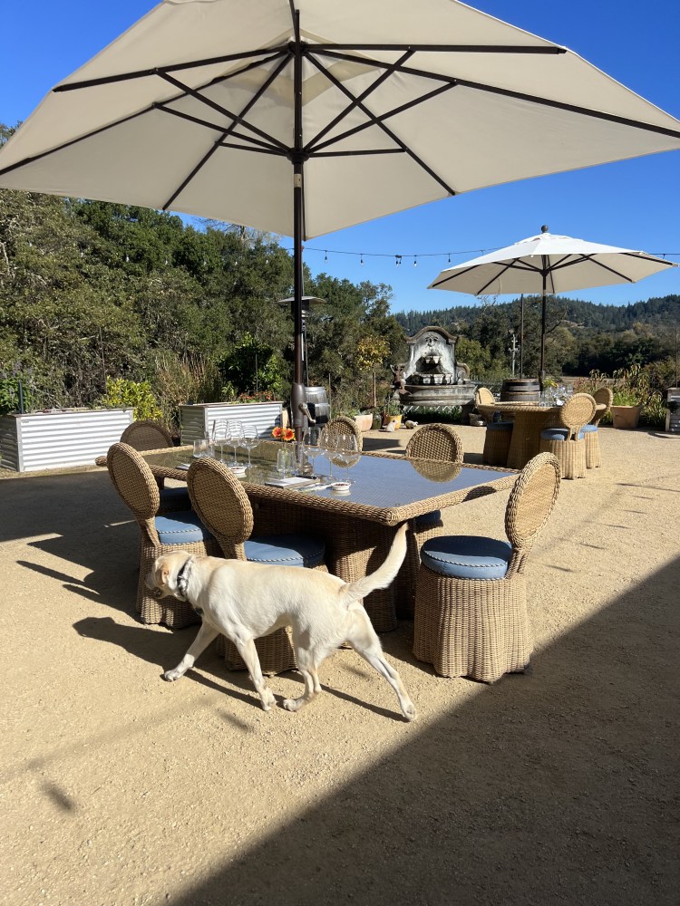 Capo Creek Winery: Healdsburg,&nbsp;California